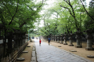 שביל הגישה למקדש טושוגו באואנו