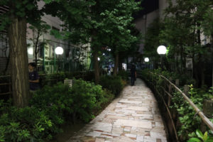 שביל הכניסה לגולדן גאי מהכביש הראשי