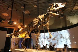 שלד הדינוזאור הראשון שנמצא ביפן