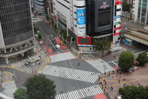 מעבר החצייה בשיבויה בשעות הבוקר