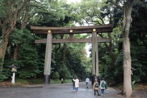 שער הטורי שמוביל למקדש