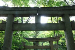 שערי טורי בגן