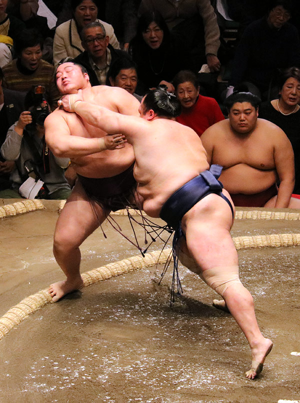 שני מתאבקי סומו נאבקים זה בזה