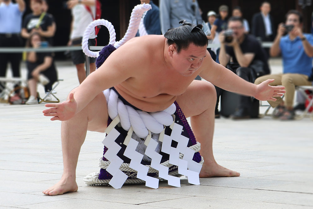 יוקוזונה הקוהו סומו