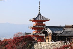 אנשים בעמדת התצפית של מקדש קיומיזו-דרה בקיוטו