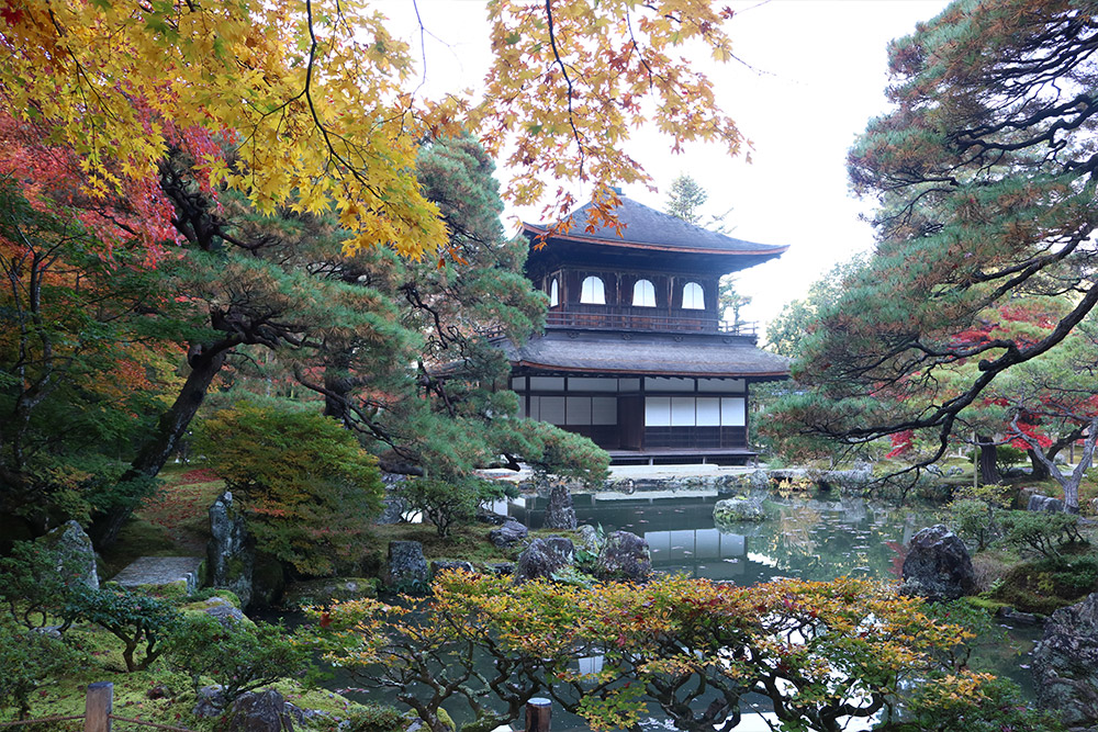 גינקאקוג'י מקדש הכסף בשלכת בקיוטו