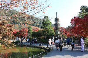 גן במקדש קיומיזו-דרה בקיוטו