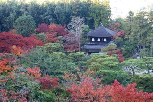 מבט מלמעלה על מקדש הכסף גינקאקוג'י