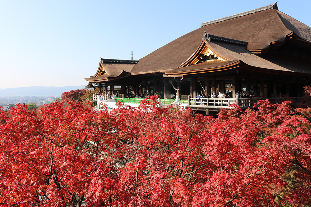 פלטפורמת התצפית במקדש קיומיזו דרה על רקע השלכת