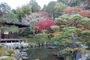 שלכת בפביליון מקדש הכסף בקיוטו