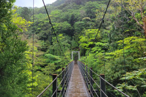 גשר תלוי ב-Shiratani Unsuikyo יקושימה