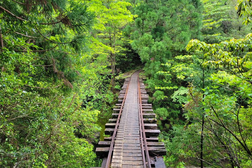 גשר ללא מעקה בטיחות במסלול ההייקינג ארקאווה בטראק לג'ומון סוגי ביקושימה