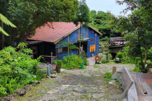 כניסה לקנופי וולק