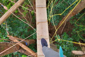 חלק צר במסלול קנופי וולק יקושימה