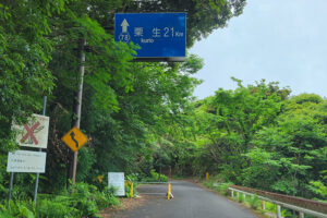 הכניסה לכביש סייבו רינדו ביקושימה