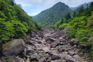 נהר ביקושימה