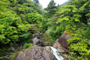 נוף נשקף מעל סלעים בשיראטאני אונסויקיו יקושימה