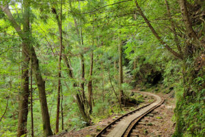 פסי הרכבת לאורך מסלול ארקאווה ביקושימה