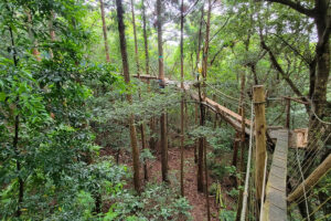 מסלול הליכה אתגרי בקנופי וולק יקושימה