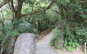 שביל הגישה לתצפית הגבוהה על מפלי סנפירו