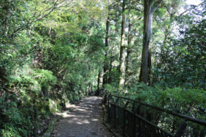 שביל המוביל לשער הטורי המפורסם של האקונה