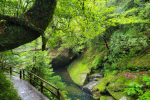 שביל לצד נהר האקוטאני בשיראטאני אונסויקיו יקושימה