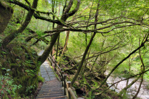 שביל הליכה ביקוסוגילנד יקושימה
