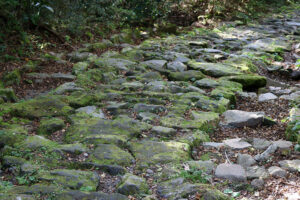 אבנים מכוסות טחב בדרך טוקאידו הישנה בהאקונה