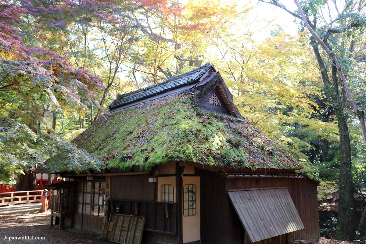 מסעדת איטריות אודון Mizuya Chaya בלב פארק נארה