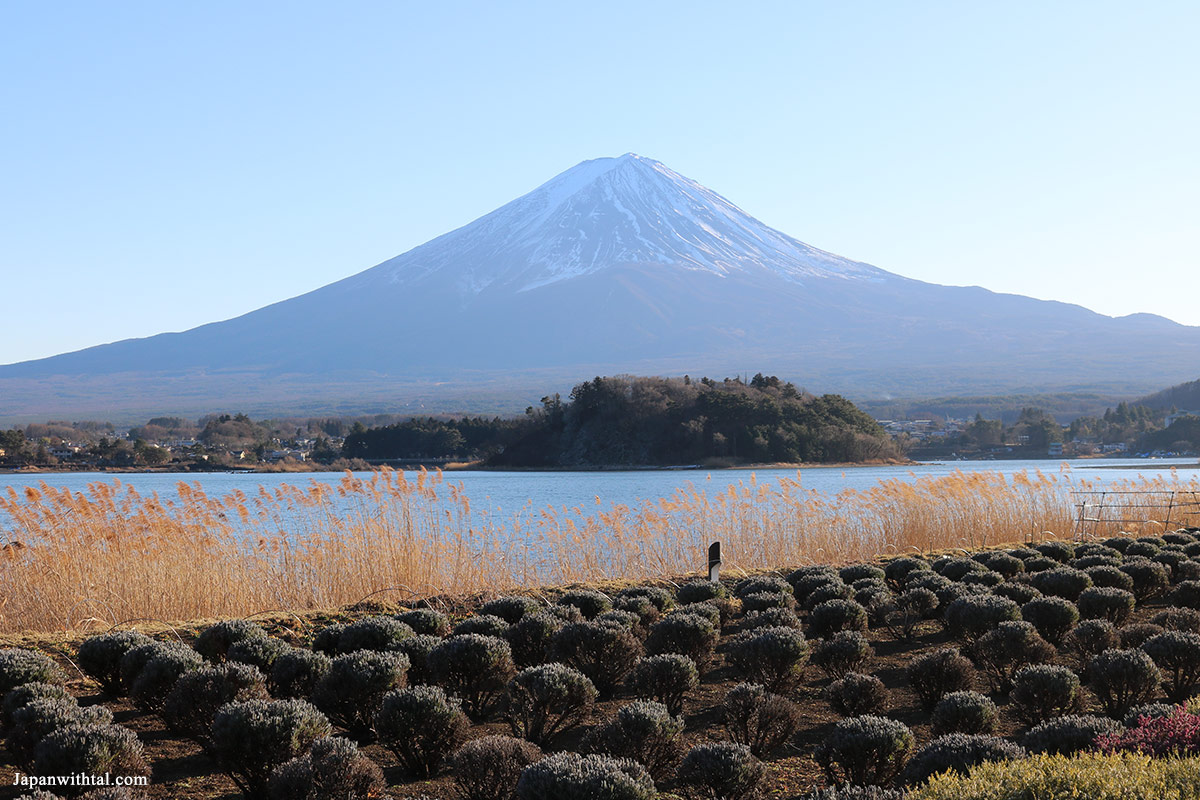 תצפית על הר פוגי מפארק אואישי
