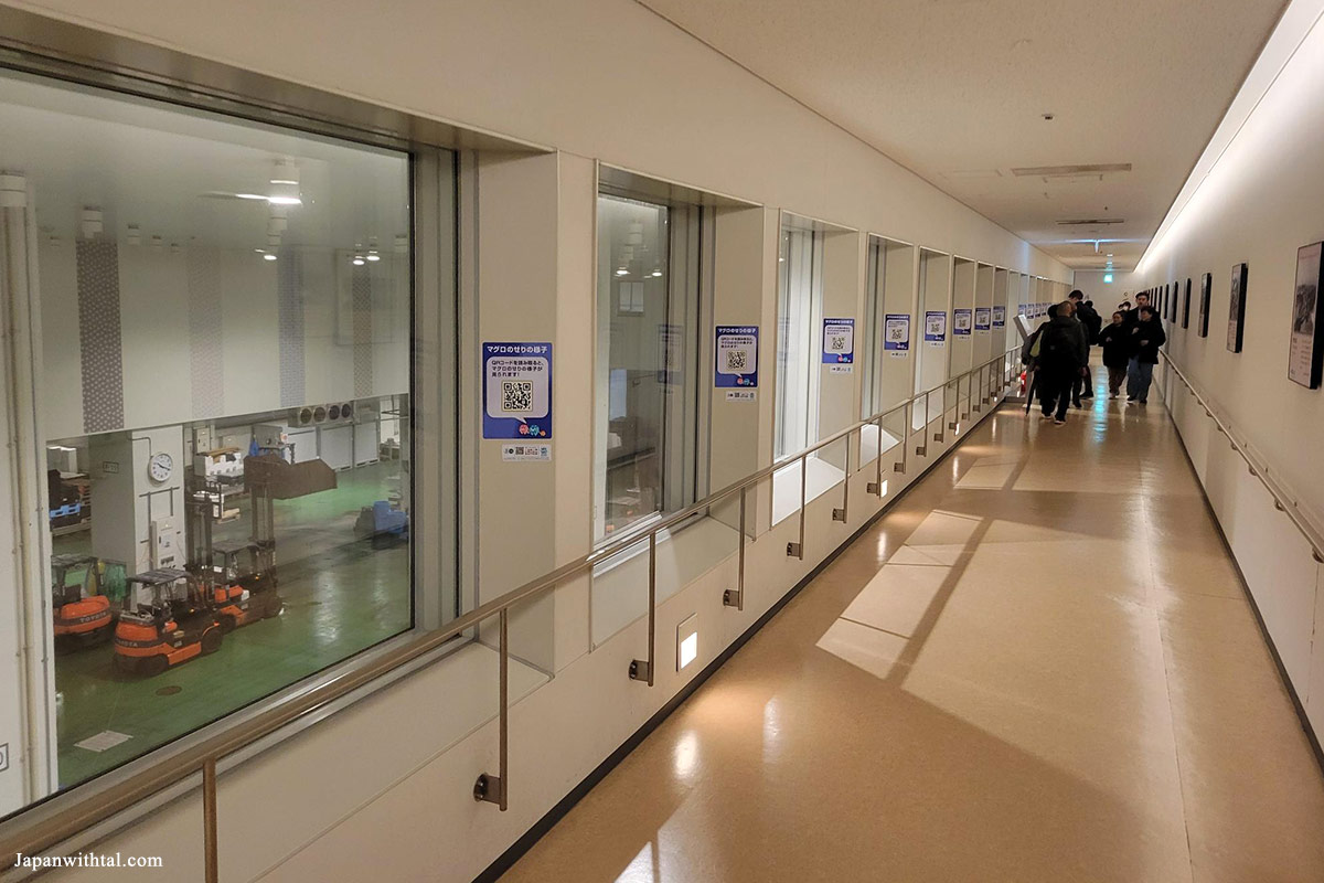 מסדרון עם תצפית על המכירה הפומבית של דגי הטונה בשוק הדגים החדש טויוסו בטוקיו