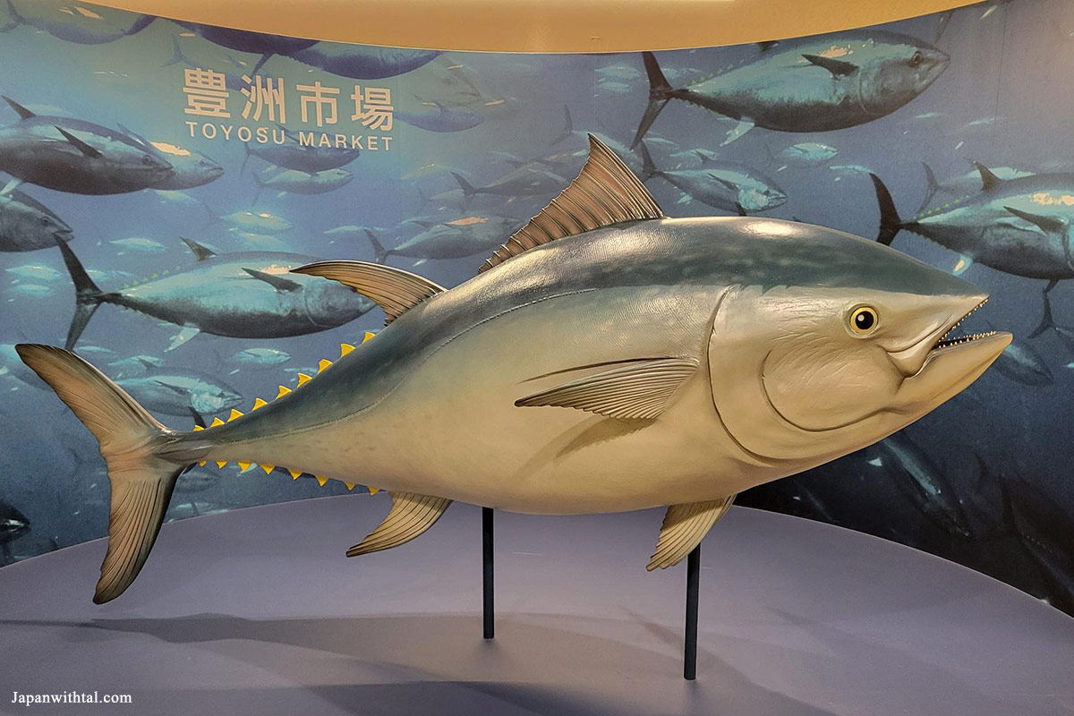 שוק הדגים החדש בטויוסו טוקיו