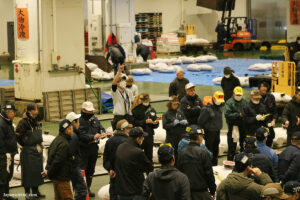 המכירה הפומבית של דגי הטונה בטוקיו