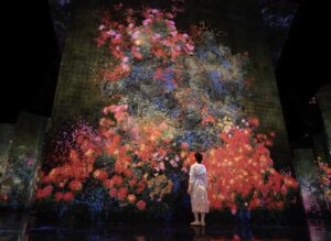 טימלאב קיוטו