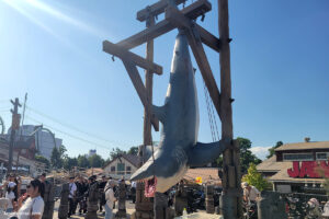 מלתעות בפארק יוניברסל סטודיו באוסקה