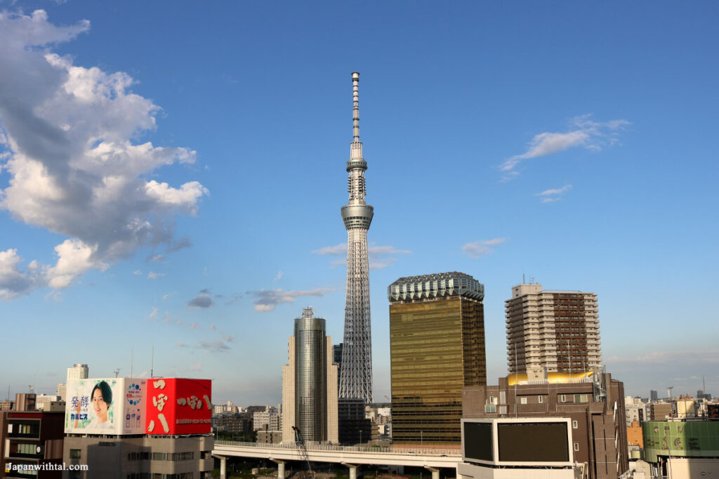 מגדל טוקיו סקיי טרי